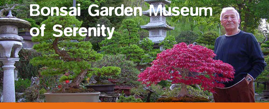Bonsai Garden Museum of Serenity